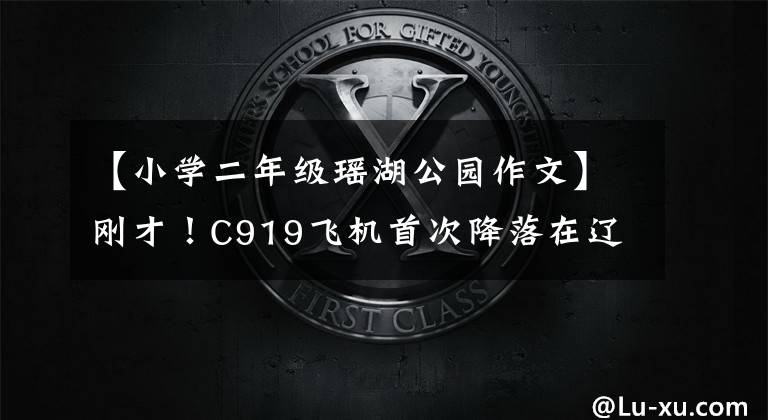 【小学二年级瑶湖公园作文】刚才！C919飞机首次降落在辽湖机场！