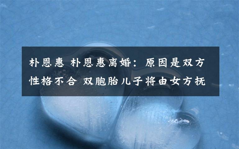 朴恩惠 朴恩惠离婚:原因是双方性格不合 双胞胎儿子将由女方抚养