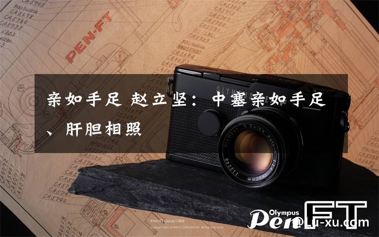 亲如手足 赵立坚:中塞亲如手足、肝胆相照