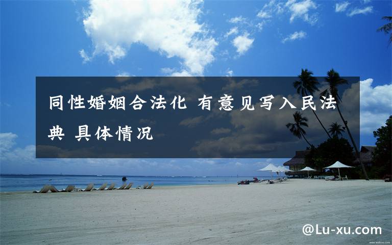 同性婚姻合法化 有意见写入民法典 具体情况