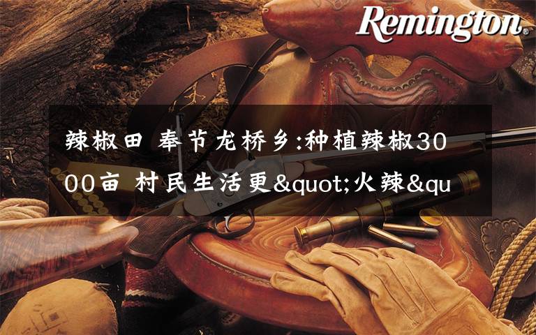 辣椒田 奉节龙桥乡:种植辣椒3000亩 村民生活更"火辣"