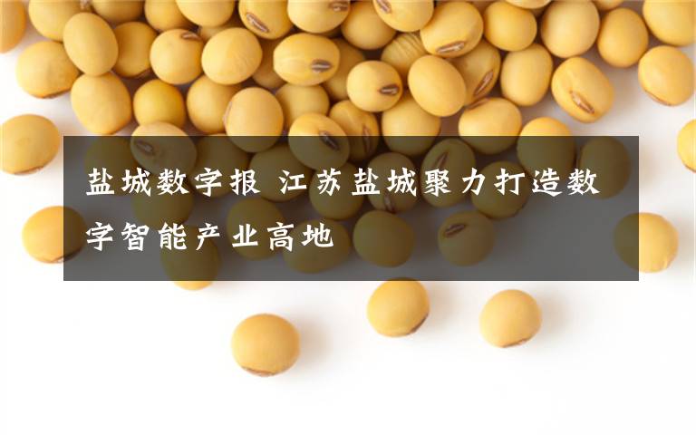 盐城数字报 江苏盐城聚力打造数字智能产业高地