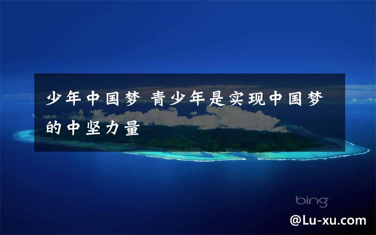 少年中国梦 青少年是实现中国梦的中坚力量