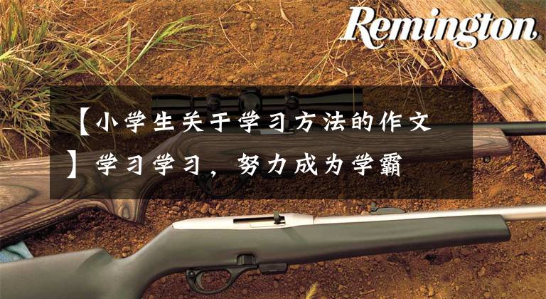 【小学生关于学习方法的作文】学习学习，努力成为学霸