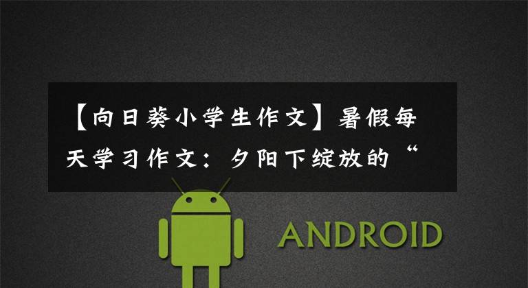 【向日葵小学生作文】暑假每天学习作文：夕阳下绽放的“向日葵”(伪装成向日葵的母亲)