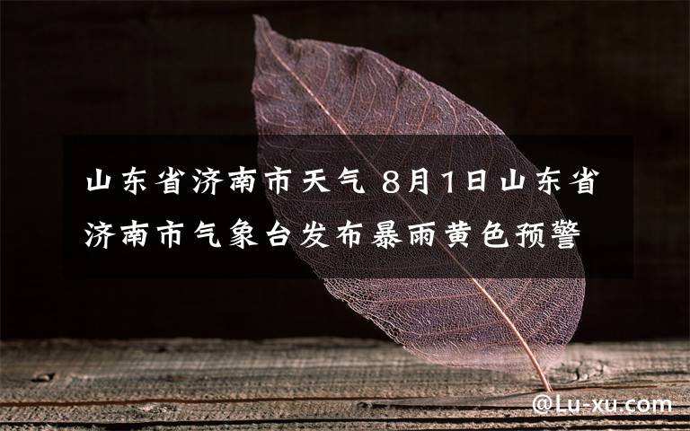 山东省济南市天气 8月1日山东省济南市气象台发布暴雨黄色预警