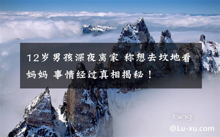 12岁男孩深夜离家 称想去坟地看妈妈 事情经过真相揭秘！