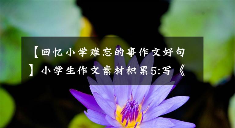 【回忆小学难忘的事作文好句】小学生作文素材积累5:写《读后感鉴赏感》的好词好段落。