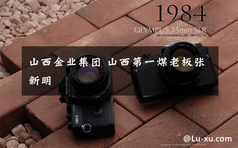 山西金业集团 山西第一煤老板张新明