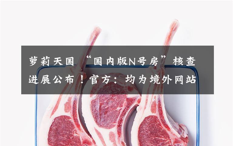 萝莉天国 “国内版N号房”核查进展公布！官方：均为境外网站