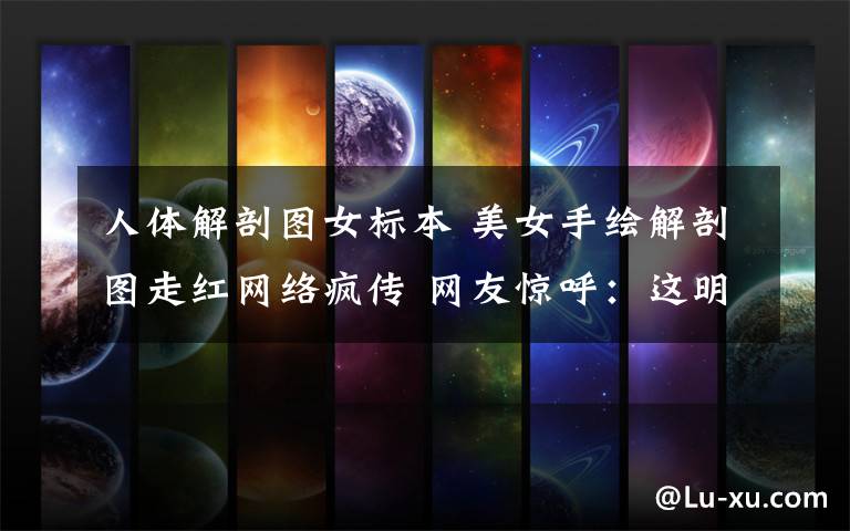 人体解剖图女标本 美女手绘解剖图走红网络疯传 网友惊呼:这明明就是印刷出来的!