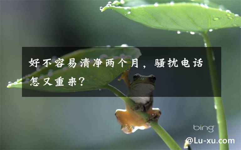好不容易清净两个月,骚扰电话怎又重来?
