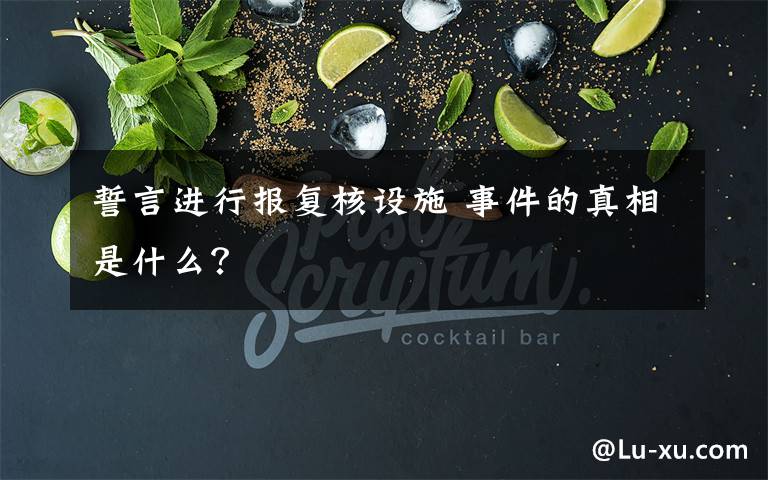 誓言进行报复核设施 事件的真相是什么?