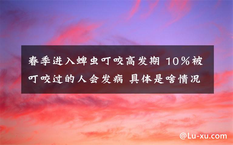 春季进入蜱虫叮咬高发期 10%被叮咬过的人会发病 具体是啥情况?