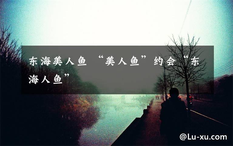 东海美人鱼 “美人鱼”约会“东海人鱼”