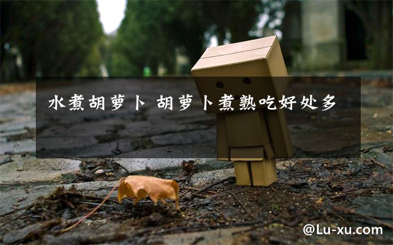 水煮胡萝卜 胡萝卜煮熟吃好处多