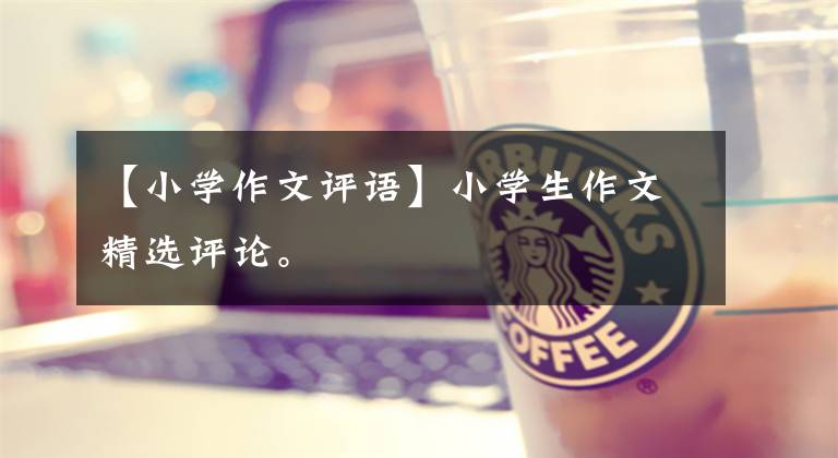 【小学作文评语】小学生作文精选评论。