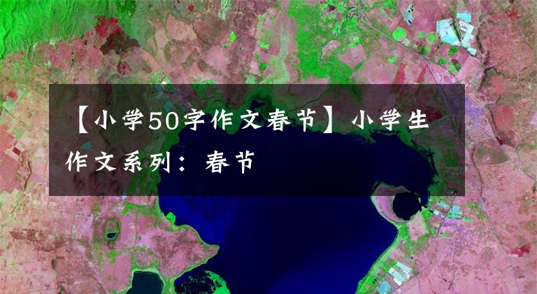 【小学50字作文春节】小学生作文系列：春节