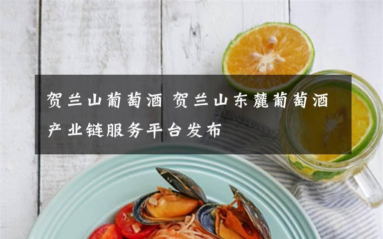 贺兰山葡萄酒 贺兰山东麓葡萄酒产业链服务平台发布