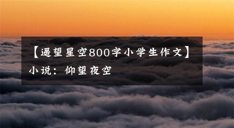 【遥望星空800字小学生作文】小说:仰望夜空