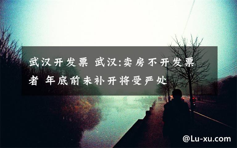 武汉开发票 武汉:卖房不开发票者 年底前未补开将受严处