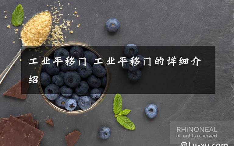 工业平移门 工业平移门的详细介绍