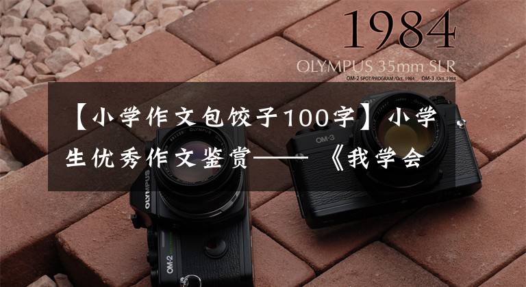 【小学作文包饺子100字】小学生优秀作文鉴赏—— 《我学会了包饺子》 300字,范文5篇。