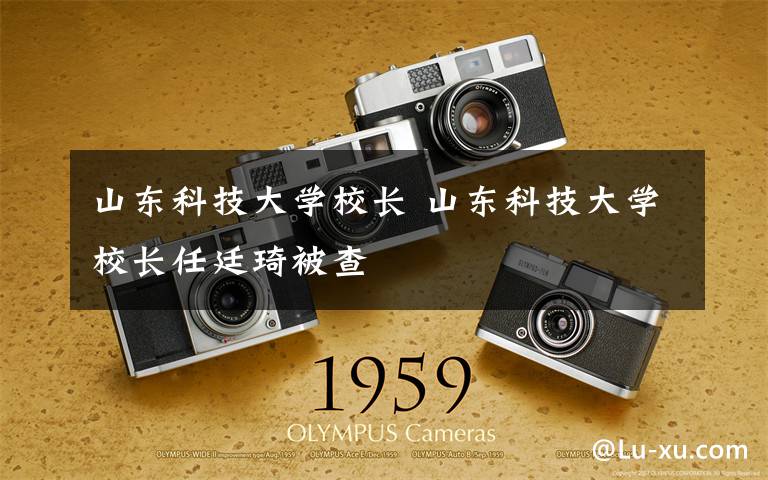 山东科技大学校长 山东科技大学校长任廷琦被查