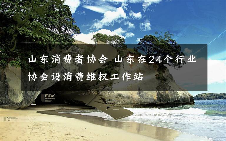 山东消费者协会 山东在24个行业协会设消费维权工作站