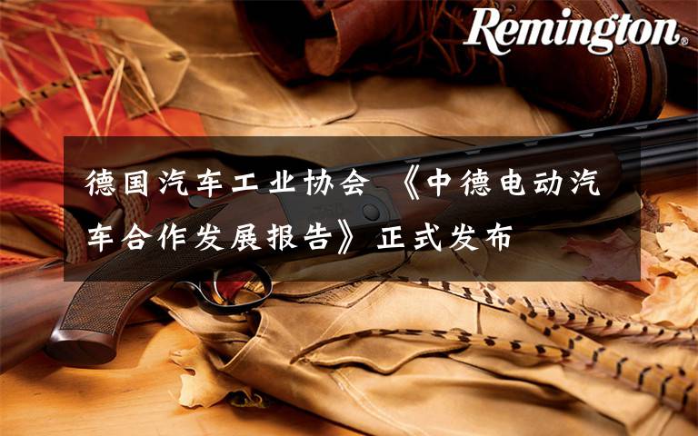 德国汽车工业协会 《中德电动汽车合作发展报告》正式发布