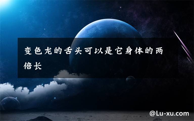 变色龙的舌头可以是它身体的两倍长