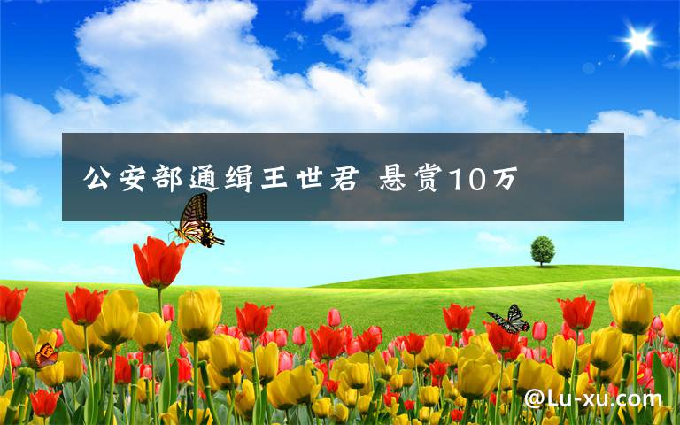 公安部通缉王世君 悬赏10万