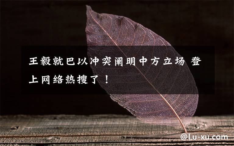 王毅就巴以冲突阐明中方立场 登上网络热搜了!