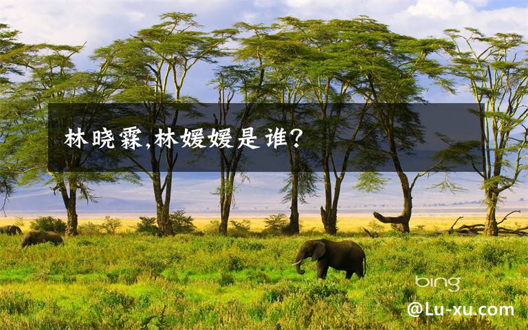 林晓霖,林媛媛是谁?