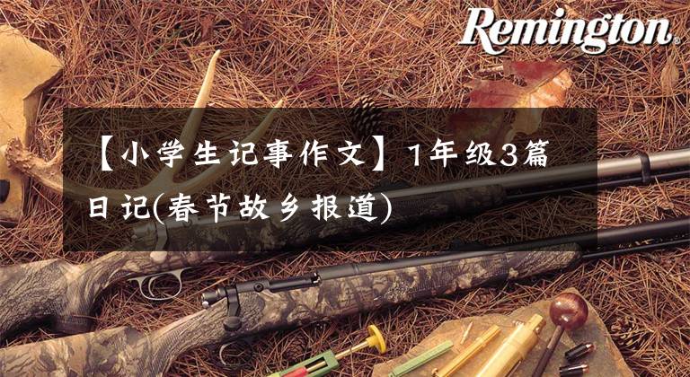 【小学生记事作文】1年级3篇日记(春节故乡报道)
