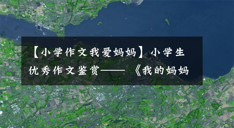【小学作文我爱妈妈】小学生优秀作文鉴赏—— 《我的妈妈》 《父与子》 《秋天的果园》 010-30000