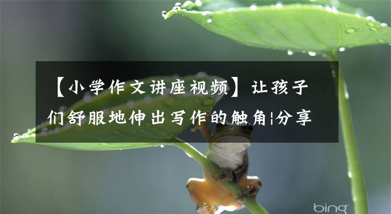 【小学作文讲座视频】让孩子们舒服地伸出写作的触角|分享超才优秀课外老师的写作教育经验