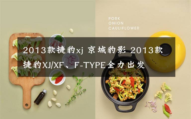 2013款捷豹xj 京城豹影 2013款捷豹XJ/XF、F-TYPE全力出发