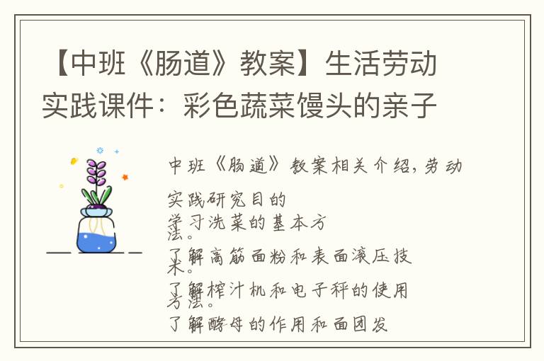 【中班《肠道》教案】生活劳动实践课件:彩色蔬菜馒头的亲子劳动实践教案