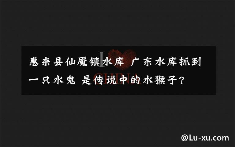 惠来县仙魇镇水库 广东水库抓到一只水鬼 是传说中的水猴子?