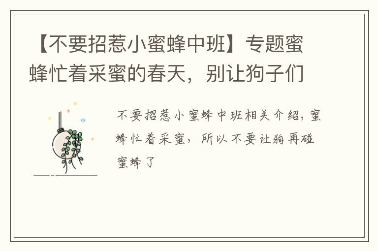 【不要招惹小蜜蜂中班】专题蜜蜂忙着采蜜的春天,别让狗子们再招惹小蜜蜂了