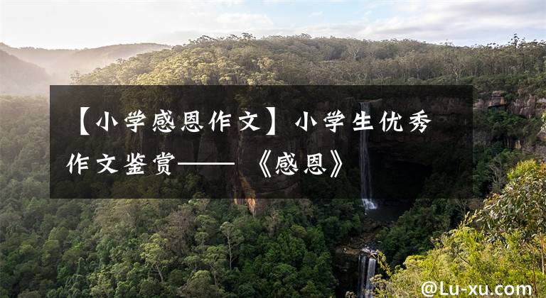 【小学感恩作文】小学生优秀作文鉴赏—— 《感恩》
