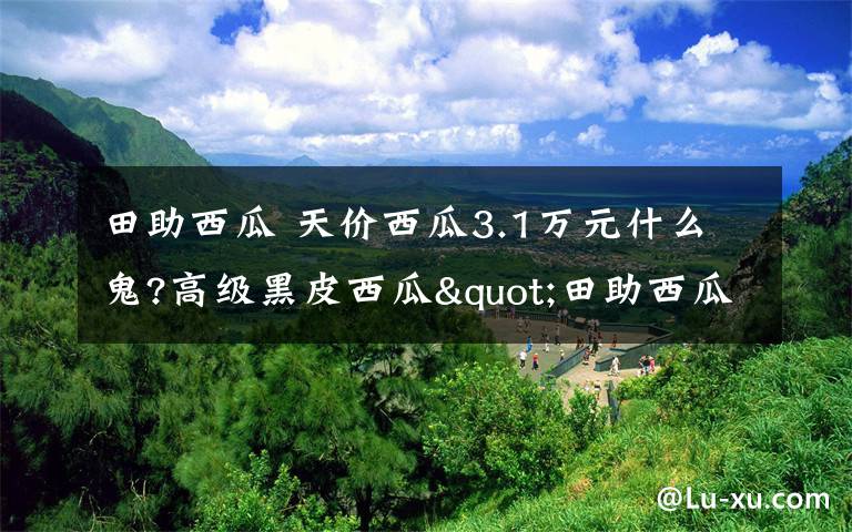 田助西瓜 天价西瓜3.1万元什么鬼?高级黑皮西瓜"田助西瓜"和普通水果有啥区别?