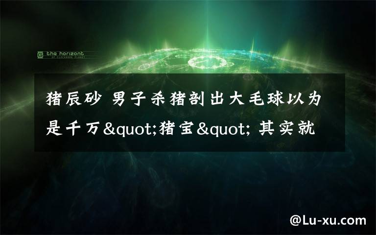 猪辰砂 男子杀猪剖出大毛球以为是千万"猪宝" 其实就是一团猪毛