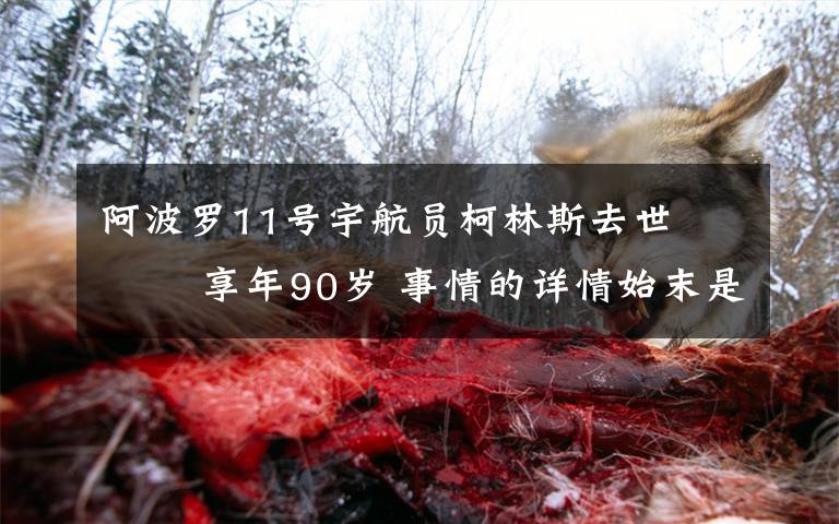 阿波罗11号宇航员柯林斯去世    享年90岁 事情的详情始末是怎么样了!