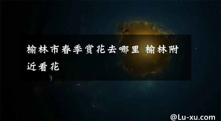 榆林市春季赏花去哪里 榆林附近看花