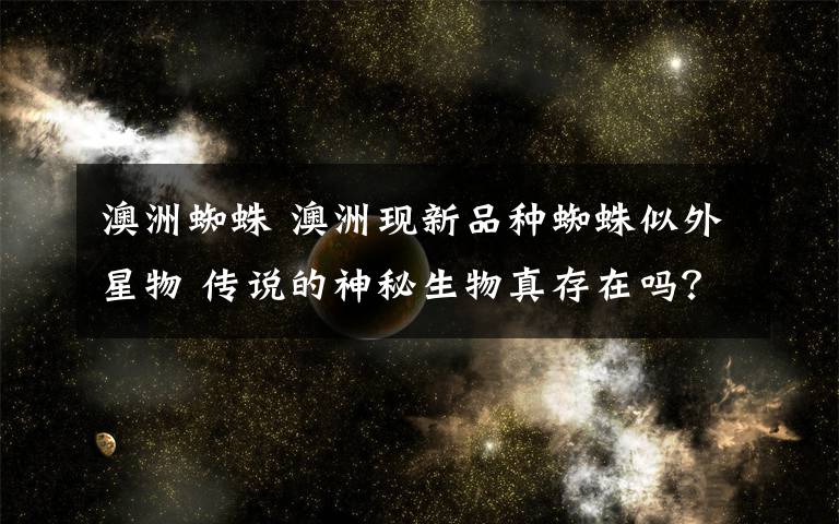 澳洲蜘蛛 澳洲现新品种蜘蛛似外星物 传说的神秘生物真存在吗?