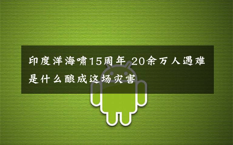 印度洋海啸15周年 20余万人遇难是什么酿成这场灾害