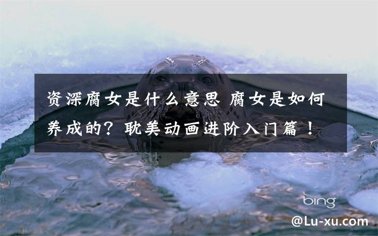 资深腐女是什么意思 腐女是如何养成的?耽美动画进阶入门篇!