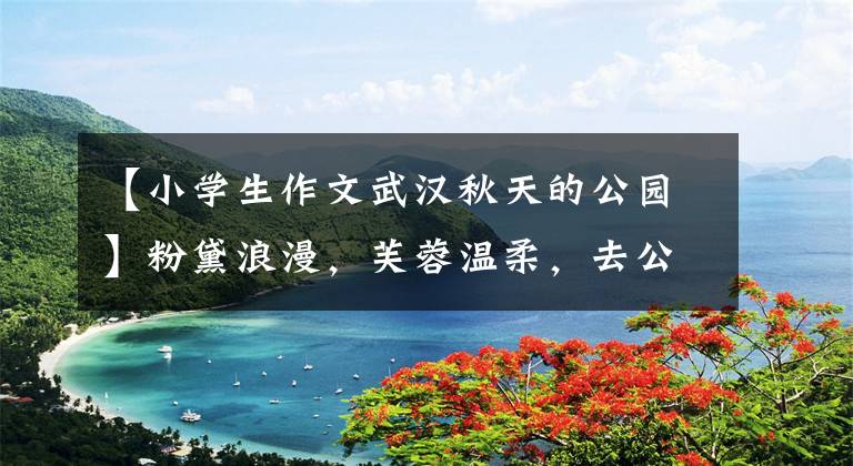 【小学生作文武汉秋天的公园】粉黛浪漫，芙蓉温柔，去公园追逐美丽的秋色